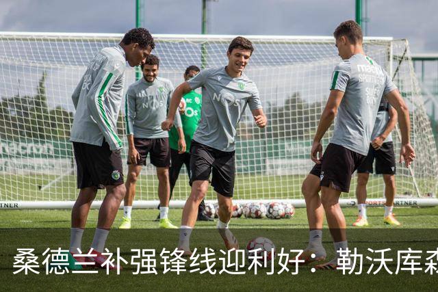 桑德兰补强锋线迎利好：勒沃库森愿售22岁攻击手，要价2500万欧